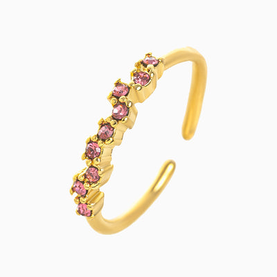 December Birthstone Inlaid With Multiple Gemstones Light Luxury Ring